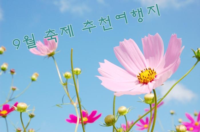 http://www.berryfarm.kr/board/board.html?code=gberryfarm_board7&page=8&type=v&num1=999894&num2=00000&number=106&lock=N 속닥속닥이야기